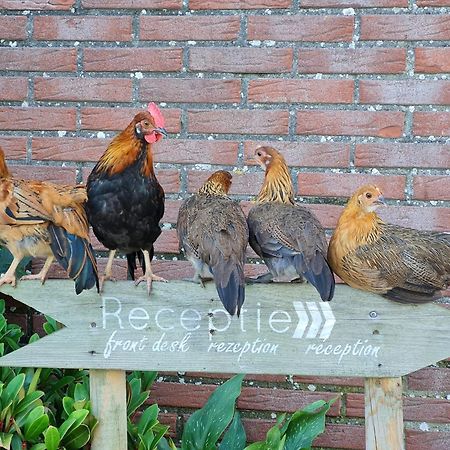 Vakantiehuisje Zand 5 Personen - Zeezand Recreatie Stolpen エクステリア 写真
